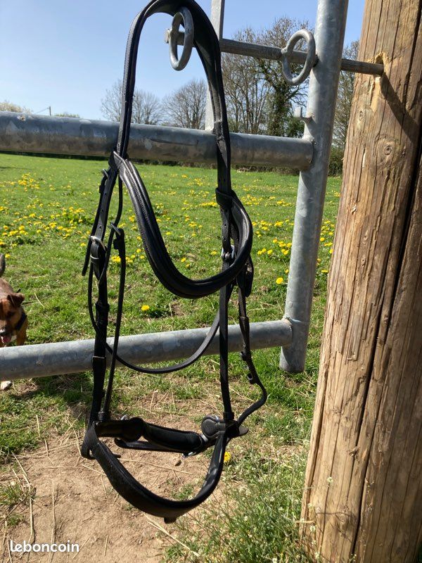 Bridon aim’horse (image 1)