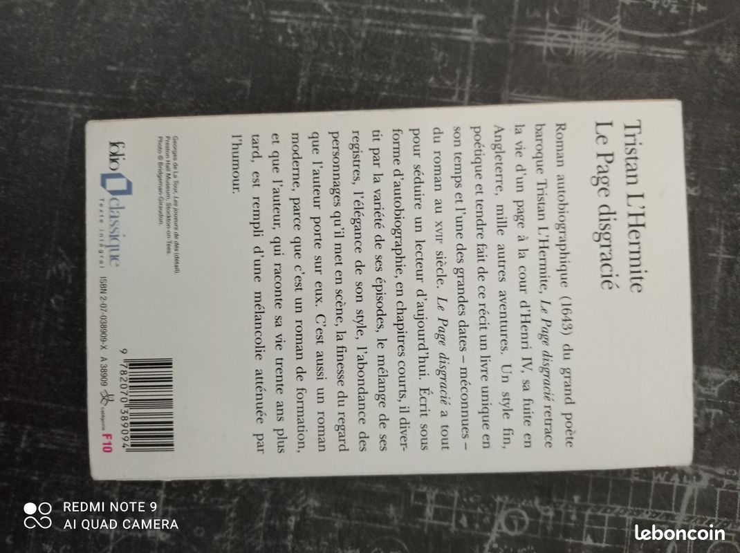 Le page disgracié (image 2)