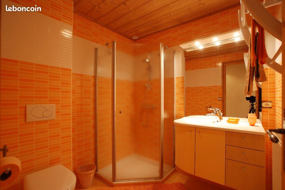Eté - Hiver : Chalet-Appartement-Duplex pour 10/12 pers à Châtel (image 16)