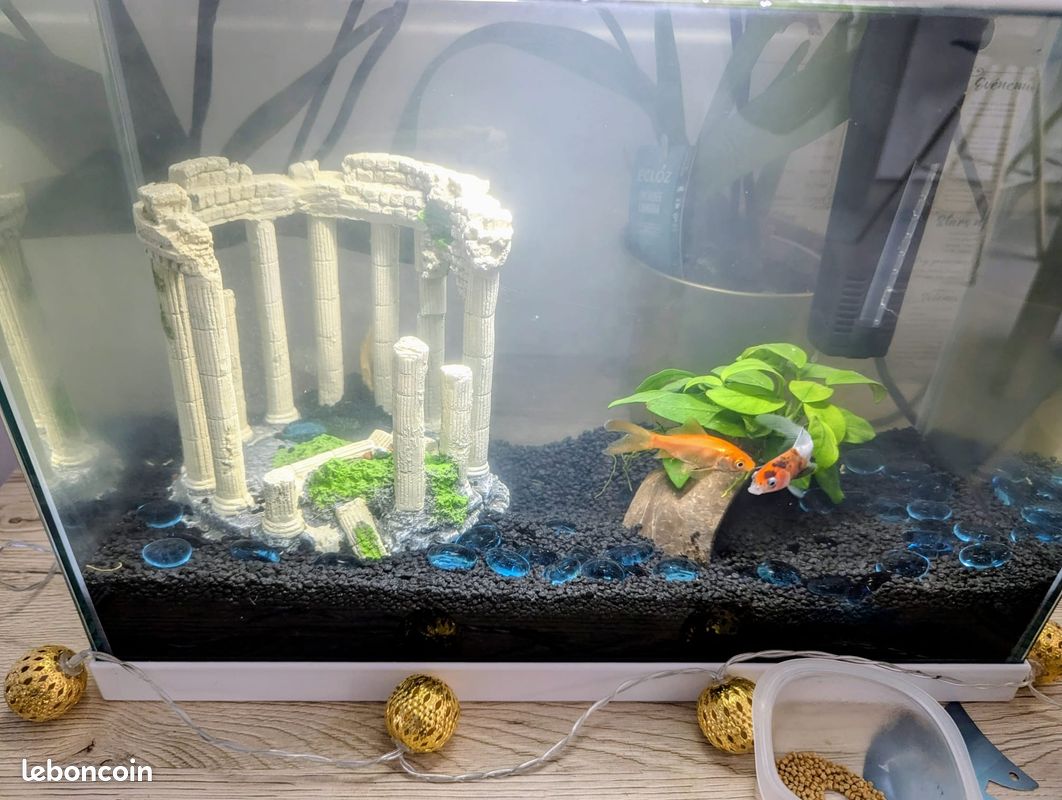 Aquarium Fresh 40 Pure Family – complet – 50 (image 1)
