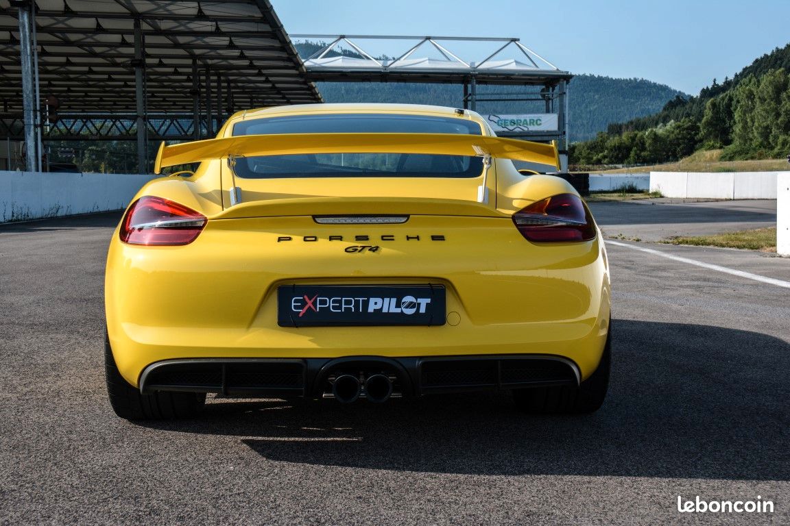 Logo Porsche GT3 GT4 GT 3 GT 4 (image 4)