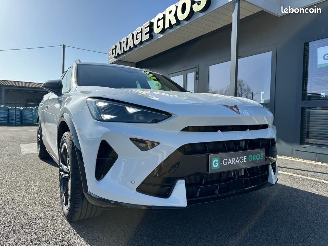 Cupra Formentor 2.0 TDI 150 ch DSG7 V (image 38)