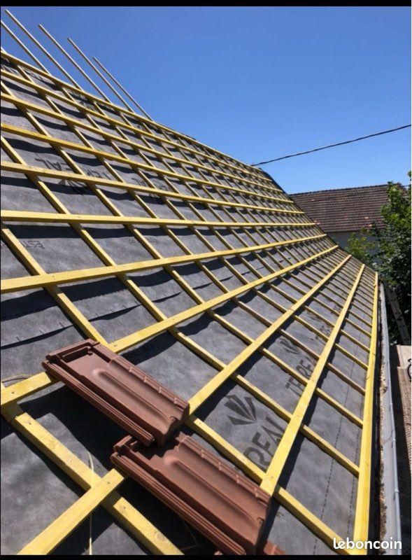 Couvreur Zingueur – Pose de Velux & Traitement de Toiture ✅ (image 2)