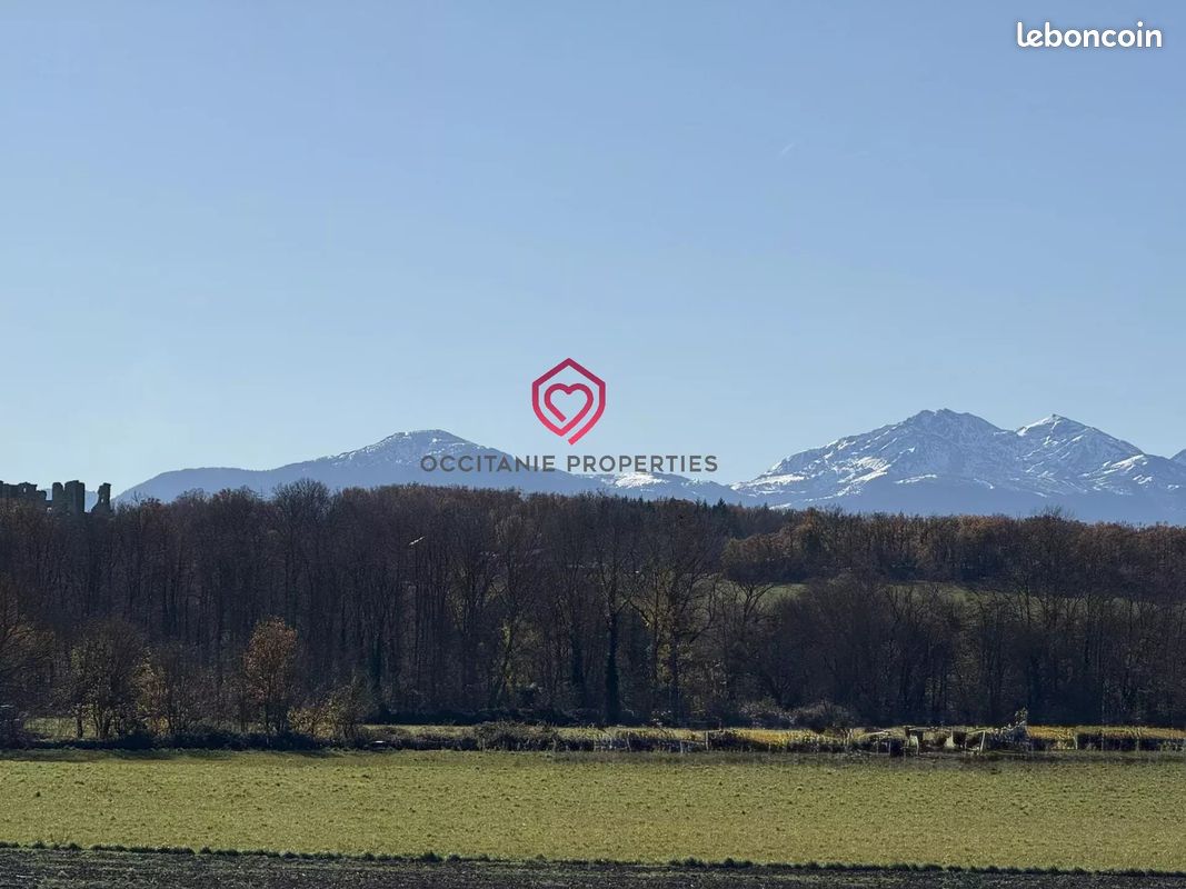 Propriété 6 pièces 204 m² (image 2)