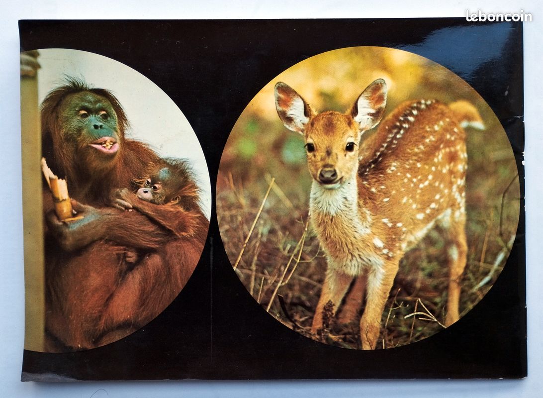 Album "les bébés animaux" - Christian Zuber - MENIER CHOCOLAT (image 3)