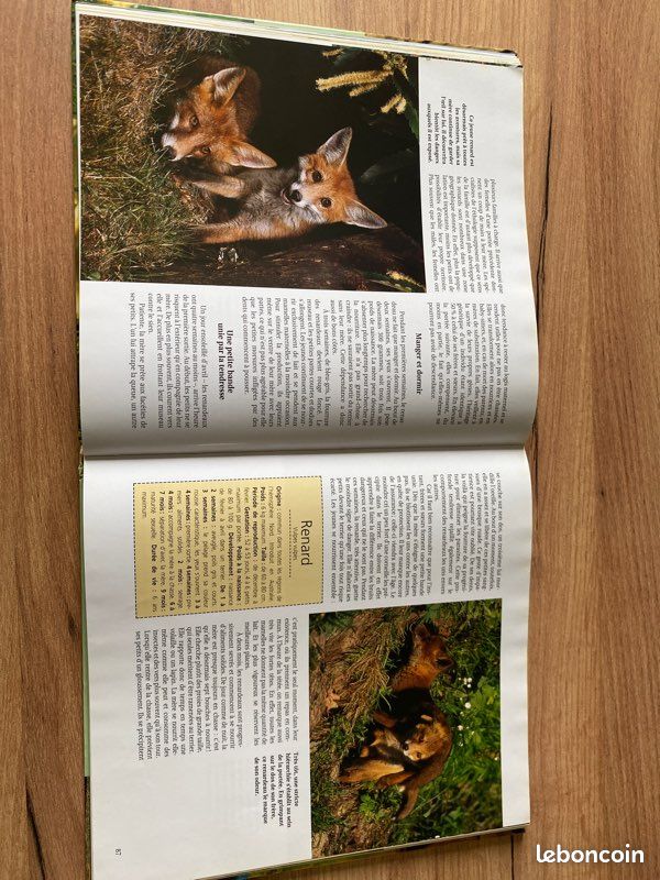 Livre bébés animaux (image 3)