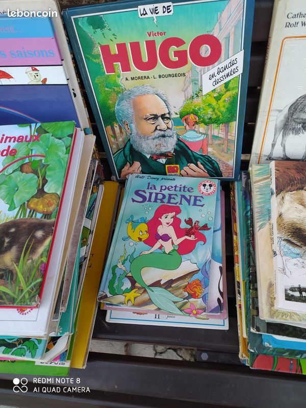 Livres enfants (image 2)