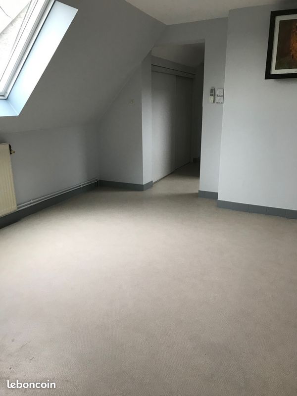 Appartement 2 pièces 47 m² - Châtellerault 86100 (image principale 5)