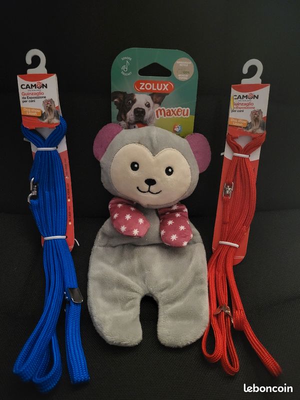 Lot jouet et laisses pour chien (image 1)