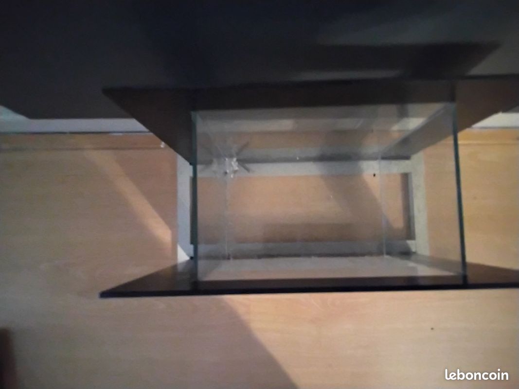 Petit aquarium pour un poisson (image 1)