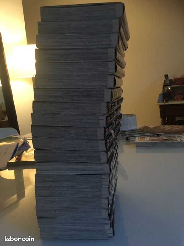 19 tome démon slayer (image 2)