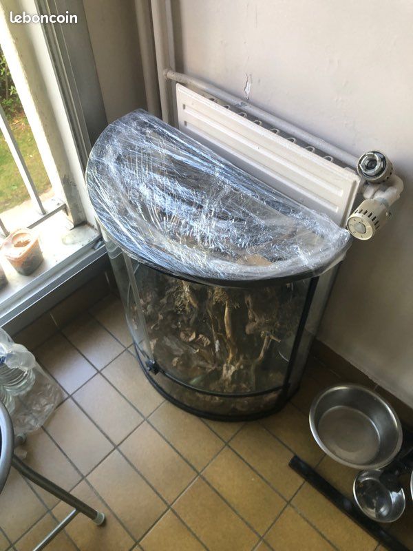 Terrarium ( don ) (image 2)