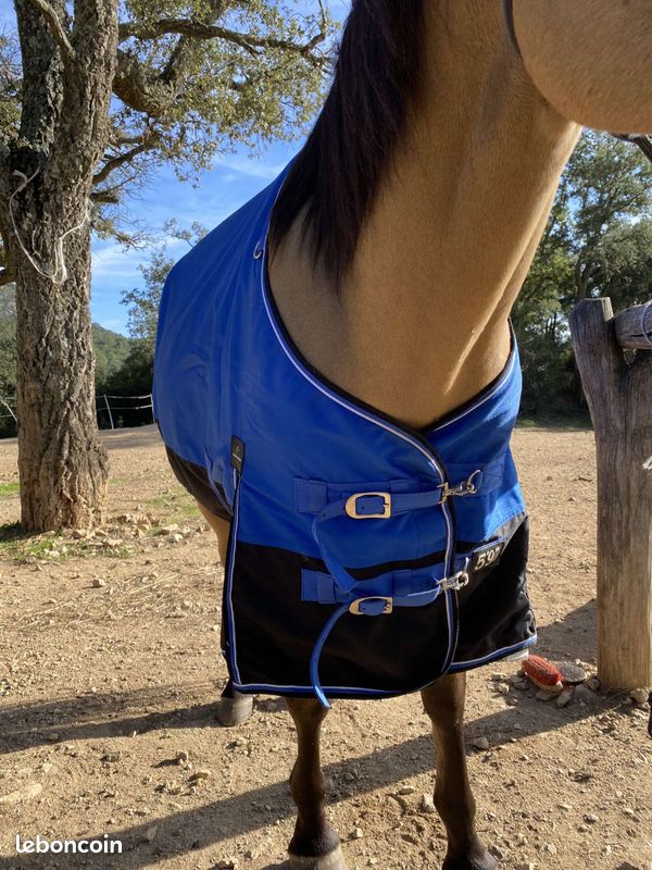Couverture cheval (image 3)