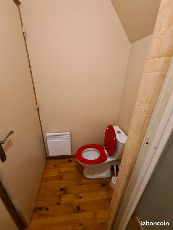 Location gîte meublé studio proche centrale Belleville sur Loire (image 11)