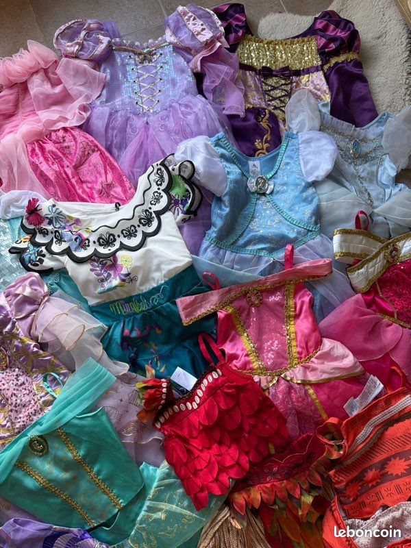 Déguisement robe princesse Disney (image 3)