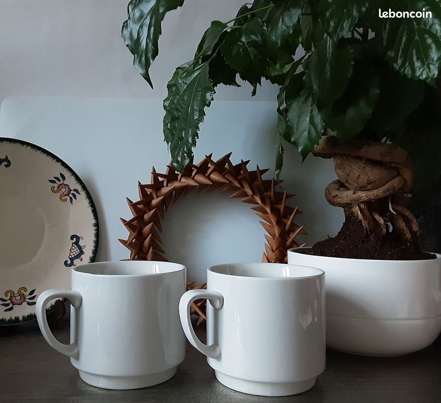 Duo De Tasses Vintage Monopoli – Décor Fleuri Multicolore – Café – Occasion