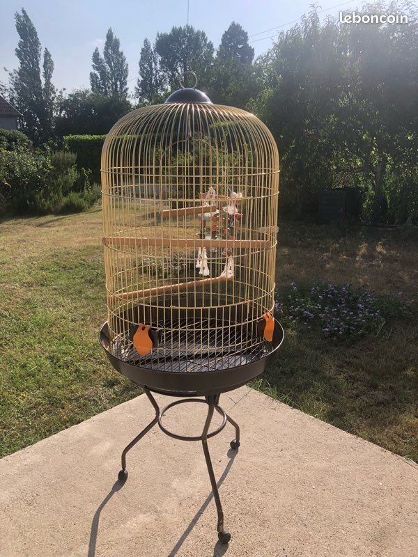 Cage oiseau (image 2)