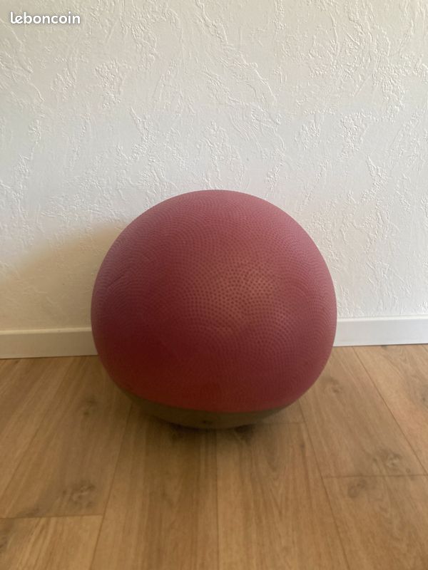 Gym ball stable (image 2)