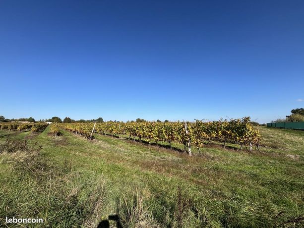 Terrain 530 m² Le Pout