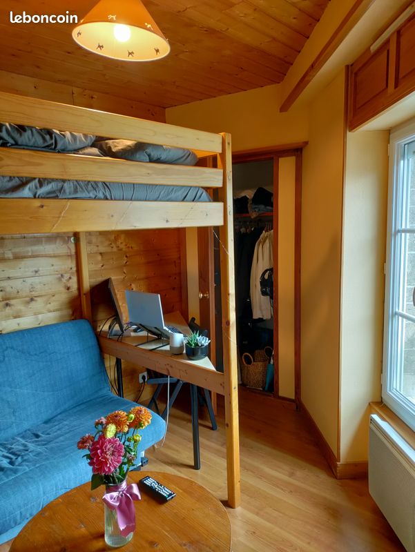 Studio meublé 19,5 m² (image 1)