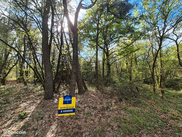 Terrain 5000 m² MONTENEUF