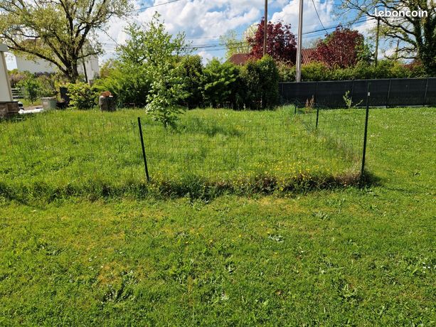Terrain 300m2 en centre ville