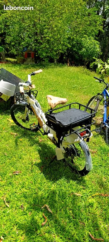 Vélo cargo (image 2)