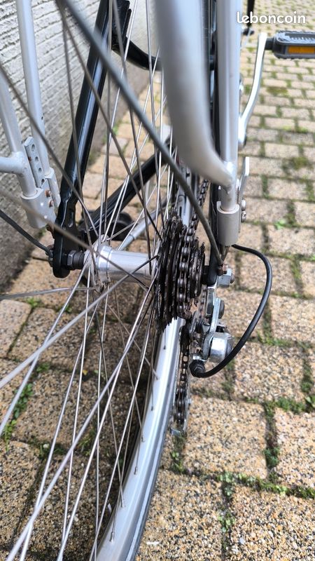Vélo Classique Vintage Rixe Pour Femme - Vert - 26 Pouces - 3 Vitesses - Années 70/80 ? - Pour Pièces/Réparation