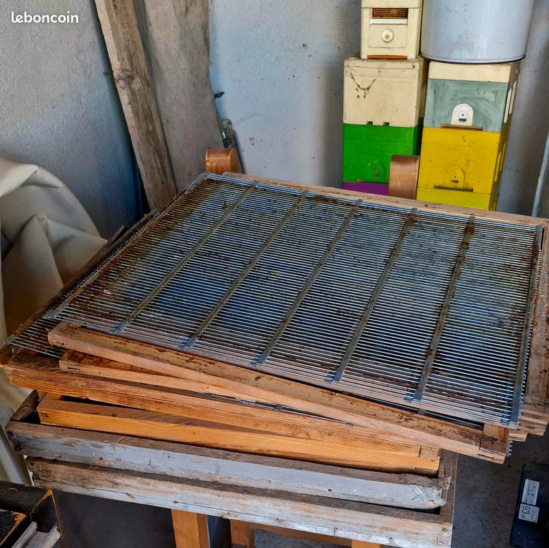 Matériel élevage de reines apiculture (image 3)