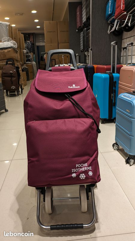 Courses Pliable Sac De Courses Ã Roulettes Gifi Chariot De Course