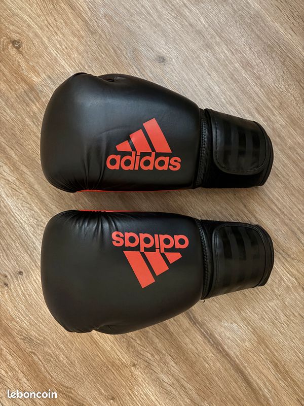 Ensemble boxe : Gants Protèges tibias et pieds (image 1)