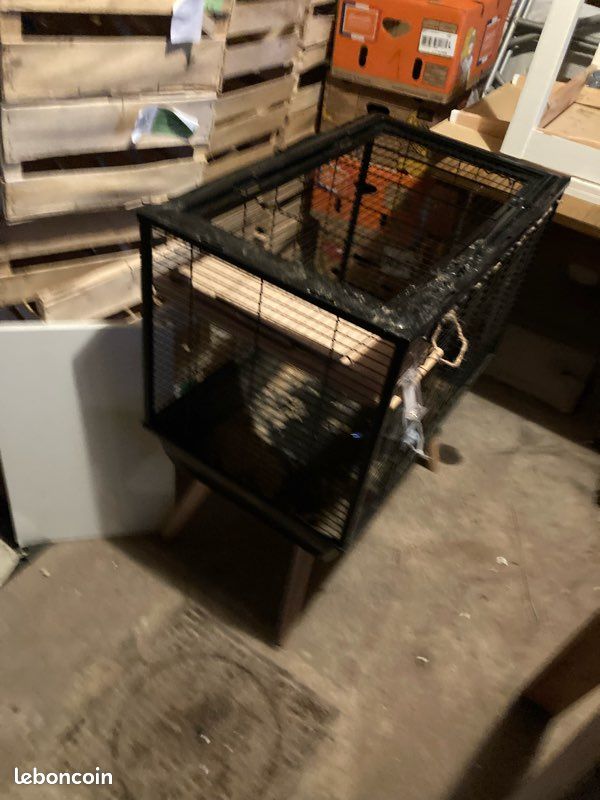 Cage bon état (image 2)