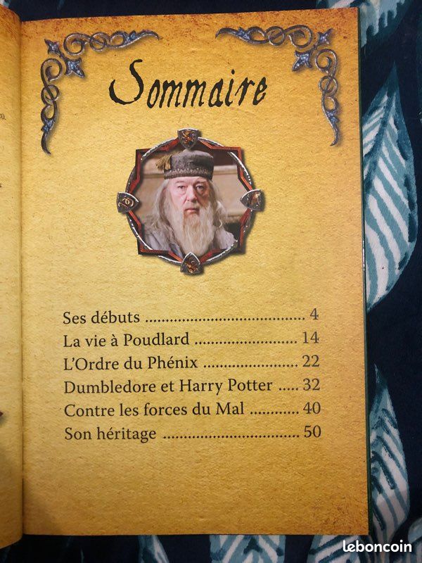 Livre harry potter (image 8)