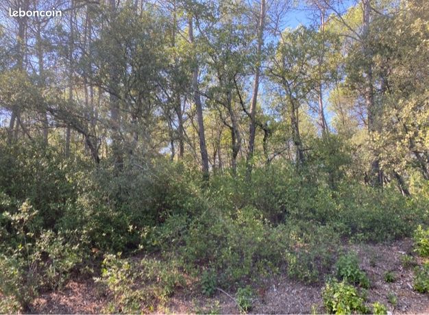 Terrain non constructible COTIGNAC