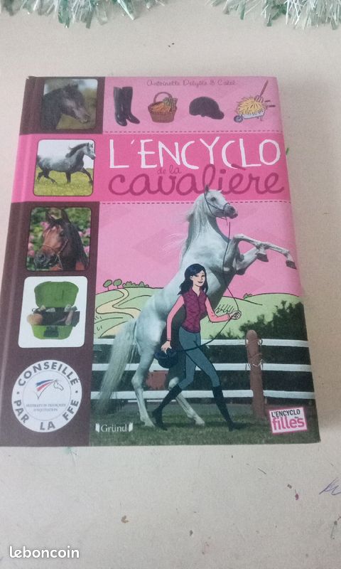 Lot de 3 livres de chevaux (image 1)