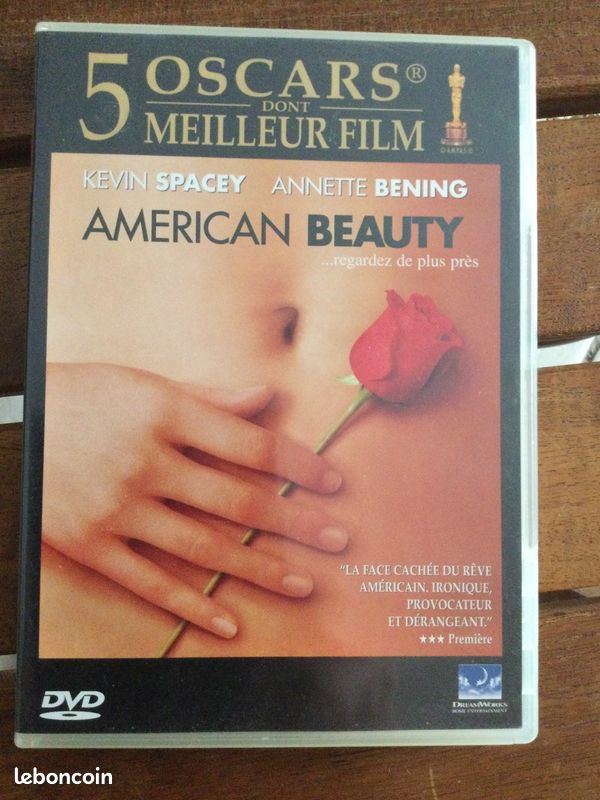 DVD américain beau t’y (image 1)