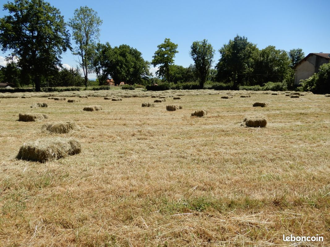 Distributeur De Foin Boule Pour Chevaux - Distributeur De Carottes