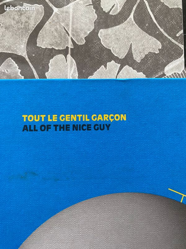 Livre Tout le gentil garçon - All of the nice guy de 2011 en bon 