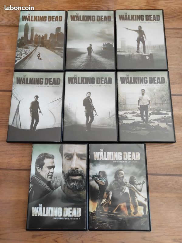 La série walking dead (image 1)