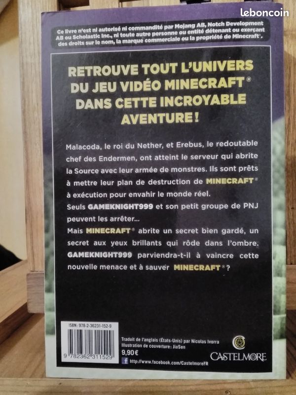 Livre Minecraft face au dragon gameknight999 Tome 3 (image 2)