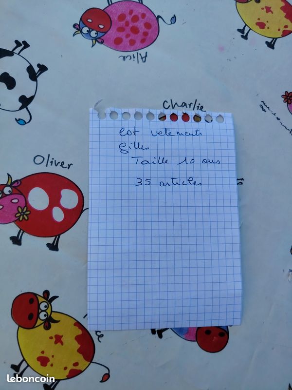 Lot vêtements dites fille taille 10 ans (image 10)