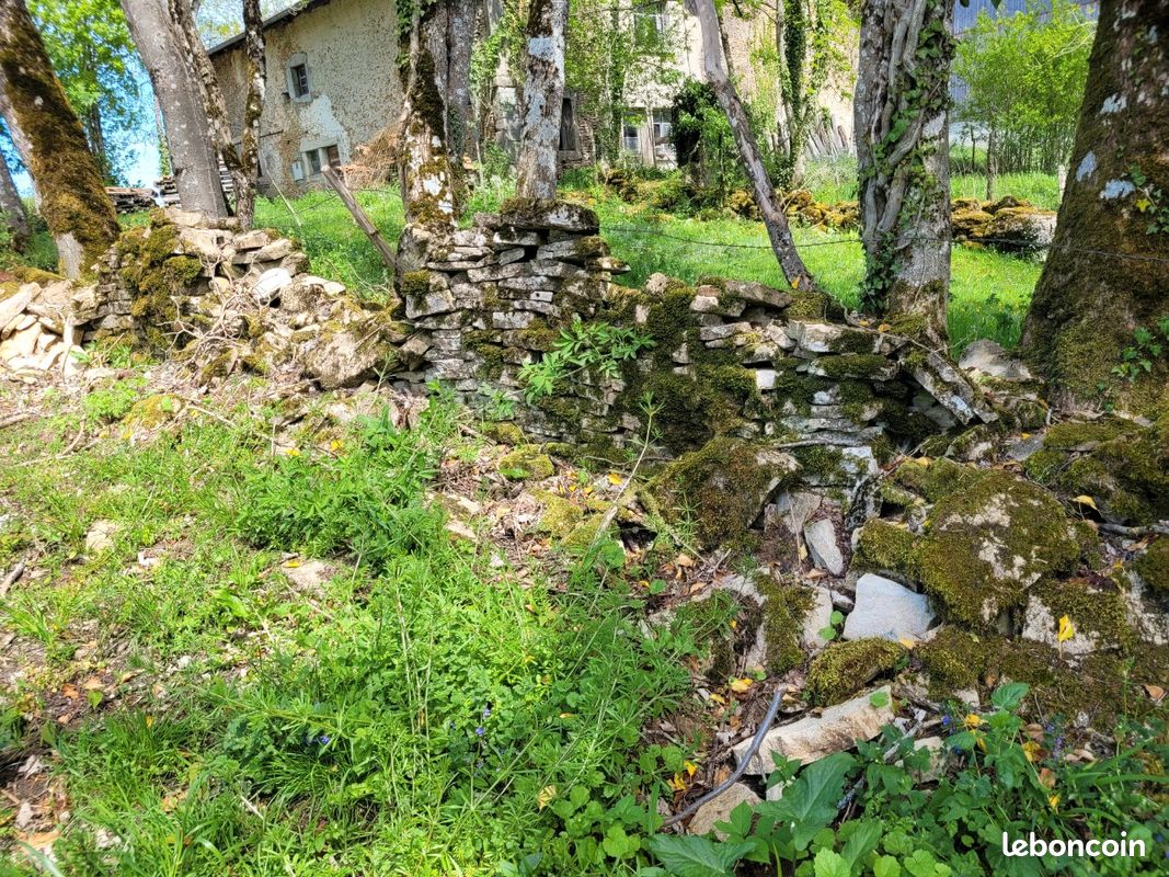 Muret en pierre (image 2)