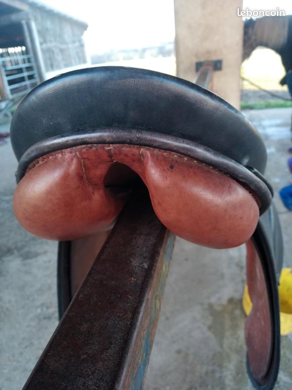 Selle mixte Stubben d'occasion : Equipements | Equitation - 07/10/2023