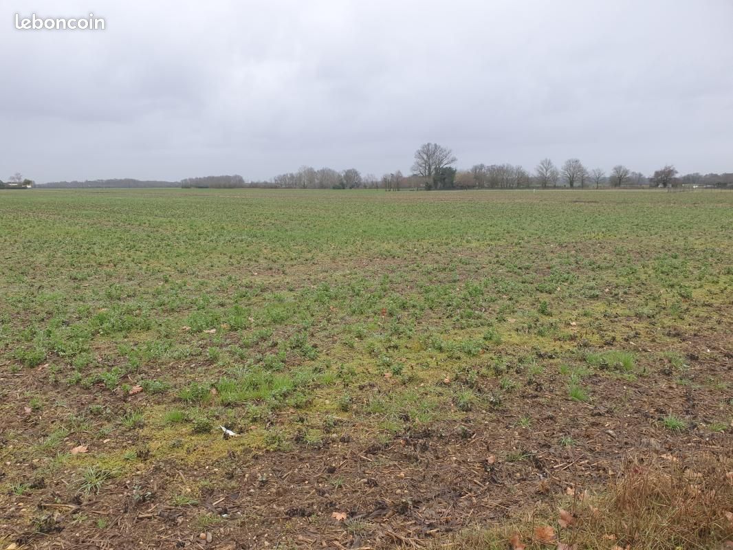 Terrain 500 m² Sadirac · 95 000 €