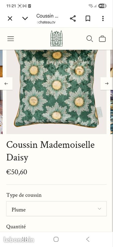 Coussin de collection (image 5)