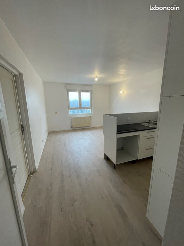 Appartement 1 pièce 31 m² · à Château-Renard · 31 m² · 520 €