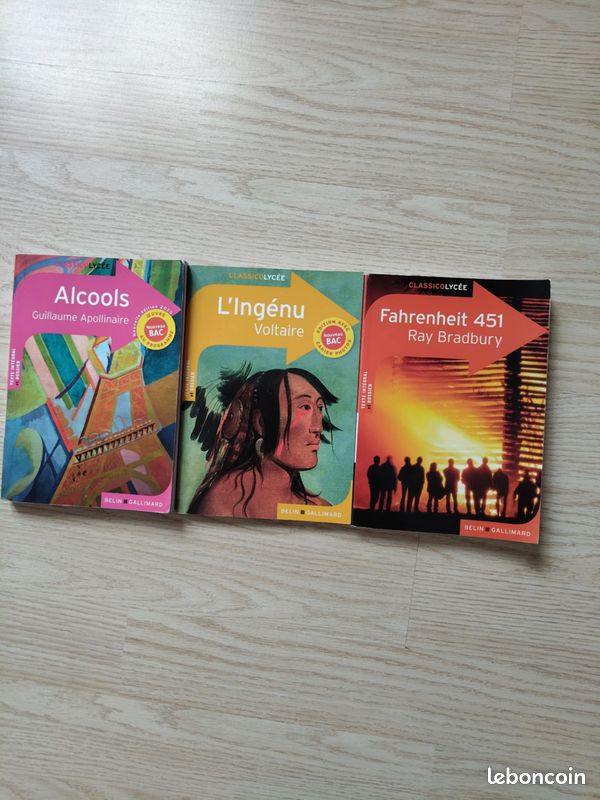Livre préparation BAC (image 1)