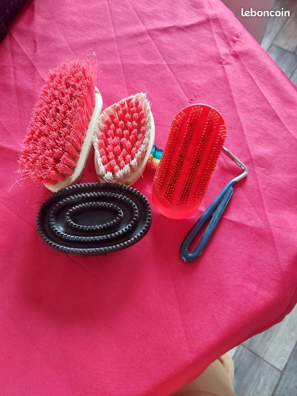 Lot de brosse de pansage pour cheveaux (image 1)