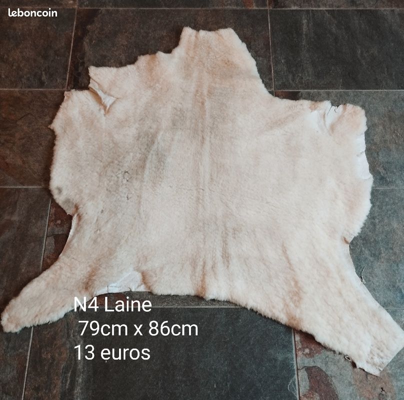 N4 laine (image 1)
