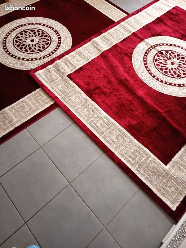 Deux tapis de salon (image 3)